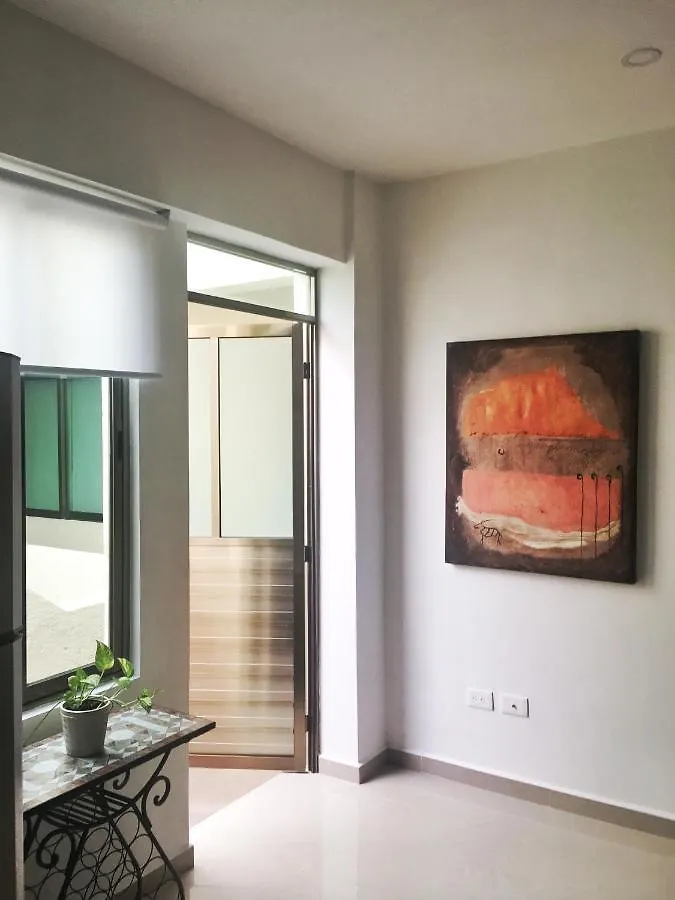 Beautiful And Comfy Penthouse&Apartment Playa del Carmen